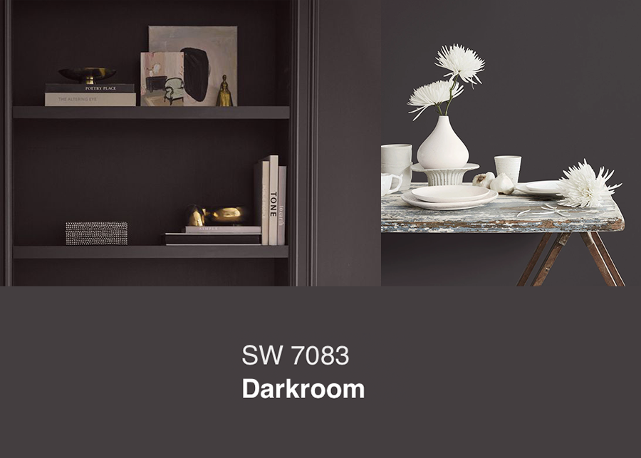 Sherwin Williams 2023 paint color of the year Darkroom